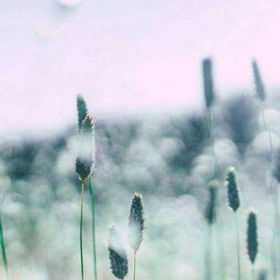 真人斗牛牛最新版app下载