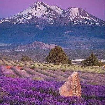 澳博app官方版最新下载安卓截图